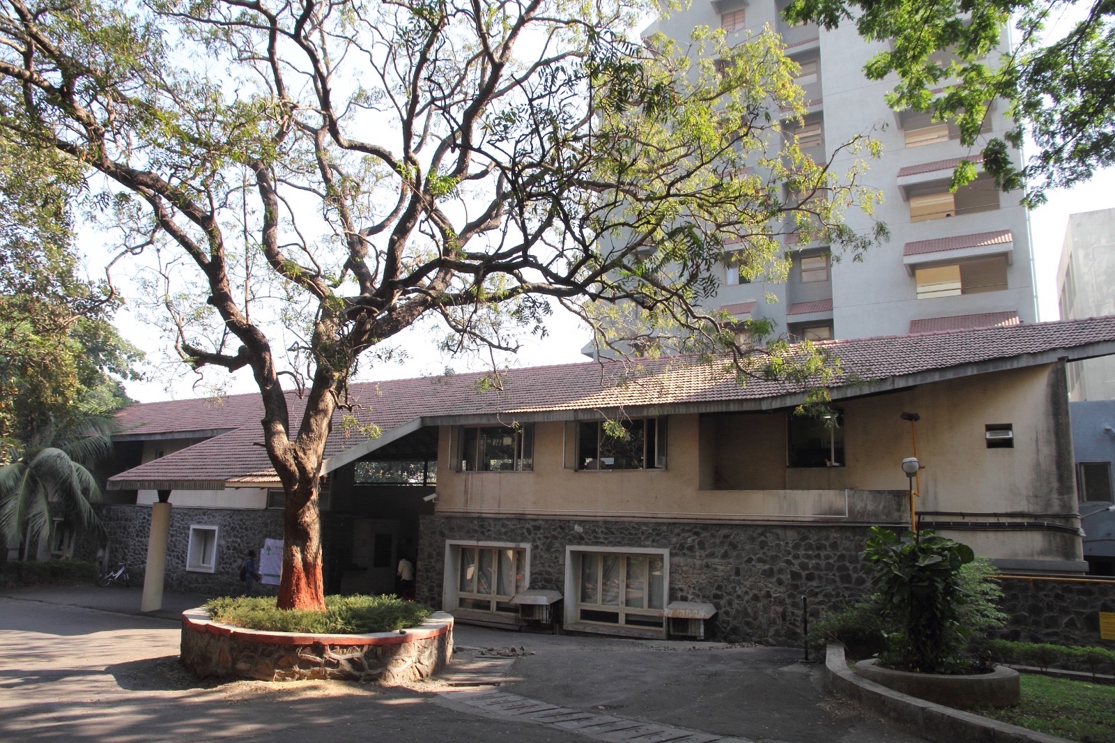 About TISS